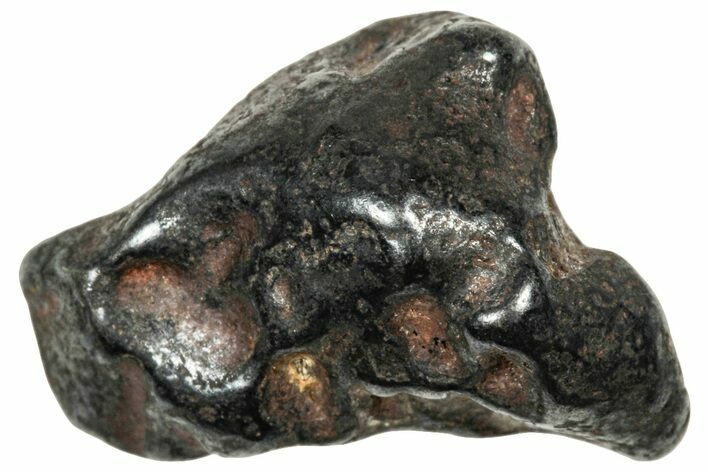 Agoudal Iron Meteorite ( g) - Morocco #303917